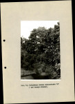 Ewidencja parkowa, skan nr 33