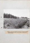 EP - Ewidencja parkowa, skan nr 33