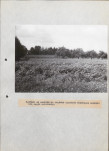 EP - Ewidencja parkowa, skan nr 34