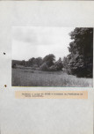 EP - Ewidencja parkowa, skan nr 36