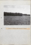 EP - Ewidencja parkowa, skan nr 39