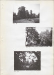 Ewidencja parkowa, skan nr 29