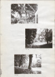 Ewidencja parkowa, skan nr 23