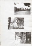 Ewidencja parkowa, skan nr 25