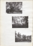 Ewidencja parkowa, skan nr 24