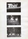 Ewidencja parkowa, skan nr 26