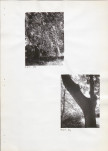 Ewidencja parkowa, skan nr 29