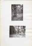 Ewidencja parkowa, skan nr 19