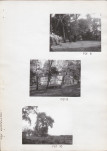 Ewidencja parkowa, skan nr 22