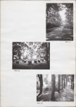 Ewidencja parkowa, skan nr 32