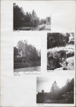 Ewidencja parkowa, skan nr 36
