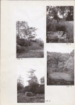 Ewidencja parkowa, skan nr 17