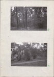 Ewidencja parkowa, skan nr 17