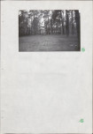 Ewidencja parkowa, skan nr 18