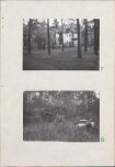 Ewidencja parkowa, skan nr 19