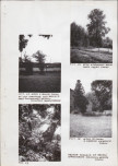 Ewidencja parkowa, skan nr 41