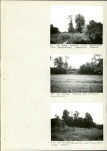 Ewidencja parkowa, skan nr 32