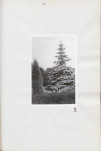 Ewidencja parkowa, skan nr 33