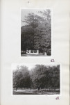 Ewidencja parkowa, skan nr 36