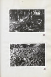 Ewidencja parkowa, skan nr 39