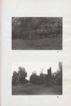 Ewidencja parkowa, skan nr 28