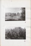 Ewidencja parkowa, skan nr 29