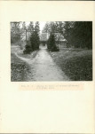 Ewidencja parkowa, skan nr 20