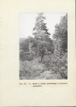 Ewidencja parkowa, skan nr 33
