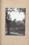 Ewidencja parkowa, skan nr 36