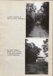 Ewidencja parkowa, skan nr 36
