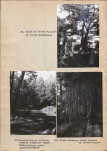 Ewidencja parkowa, skan nr 42