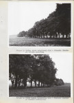 Ewidencja parkowa, skan nr 19
