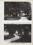 Ewidencja parkowa, skan nr 20