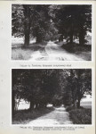 Ewidencja parkowa, skan nr 22