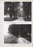 Ewidencja parkowa, skan nr 24