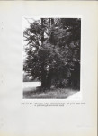 Ewidencja parkowa, skan nr 25