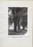 Ewidencja parkowa, skan nr 26