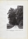 Ewidencja parkowa, skan nr 28