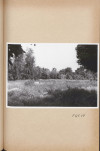Ewidencja parkowa, skan nr 54