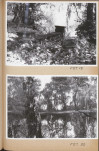 Ewidencja parkowa, skan nr 56