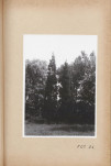 Ewidencja parkowa, skan nr 59