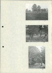 Ewidencja parkowa, skan nr 22