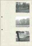 Ewidencja parkowa, skan nr 23