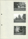 Ewidencja parkowa, skan nr 24