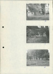 Ewidencja parkowa, skan nr 25