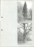 Ewidencja parkowa, skan nr 23