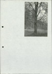 EP - Ewidencja parkowa, skan nr 31