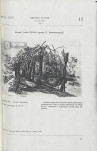Ewidencja parkowa, skan nr 13
