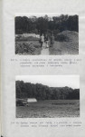 Ewidencja parkowa, skan nr 41