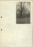 Ewidencja parkowa, skan nr 25